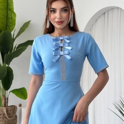 Wera Taşlı Fiyonk Detaylı Elbise